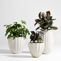 Warren 15.7" x 14.2" Small Warm White Ficonstone Outdoor Planter
