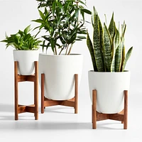Willis 9.75" x 21.5" Tall White Ceramic Planter