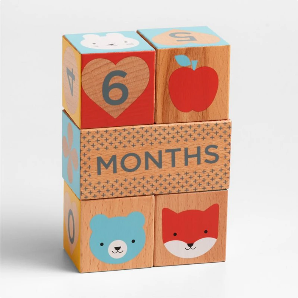 Wooden Milestone Baby Blocks