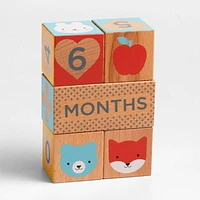 Wooden Milestone Baby Blocks
