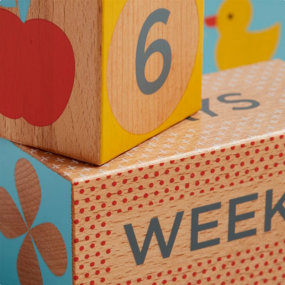 Wooden Milestone Baby Blocks