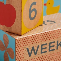 Wooden Milestone Baby Blocks