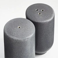 Wren Salt and Pepper Shaker Set