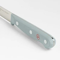 Wusthof ® Gourmet Blue Steak Knives, Set of 4