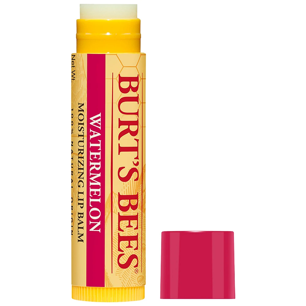 Burt's Bees Moisturizing Lip Balm - 4.25g 