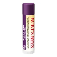 Burt's Bees Advanced Relief Lip Balm - Elderberry