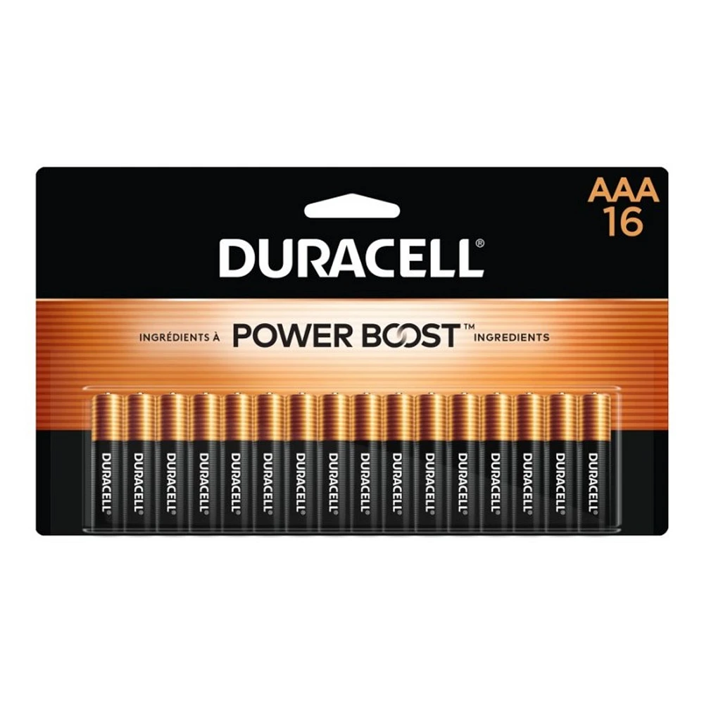 Duracell CopperTop AAA Alkaline Batteries - 16 pack