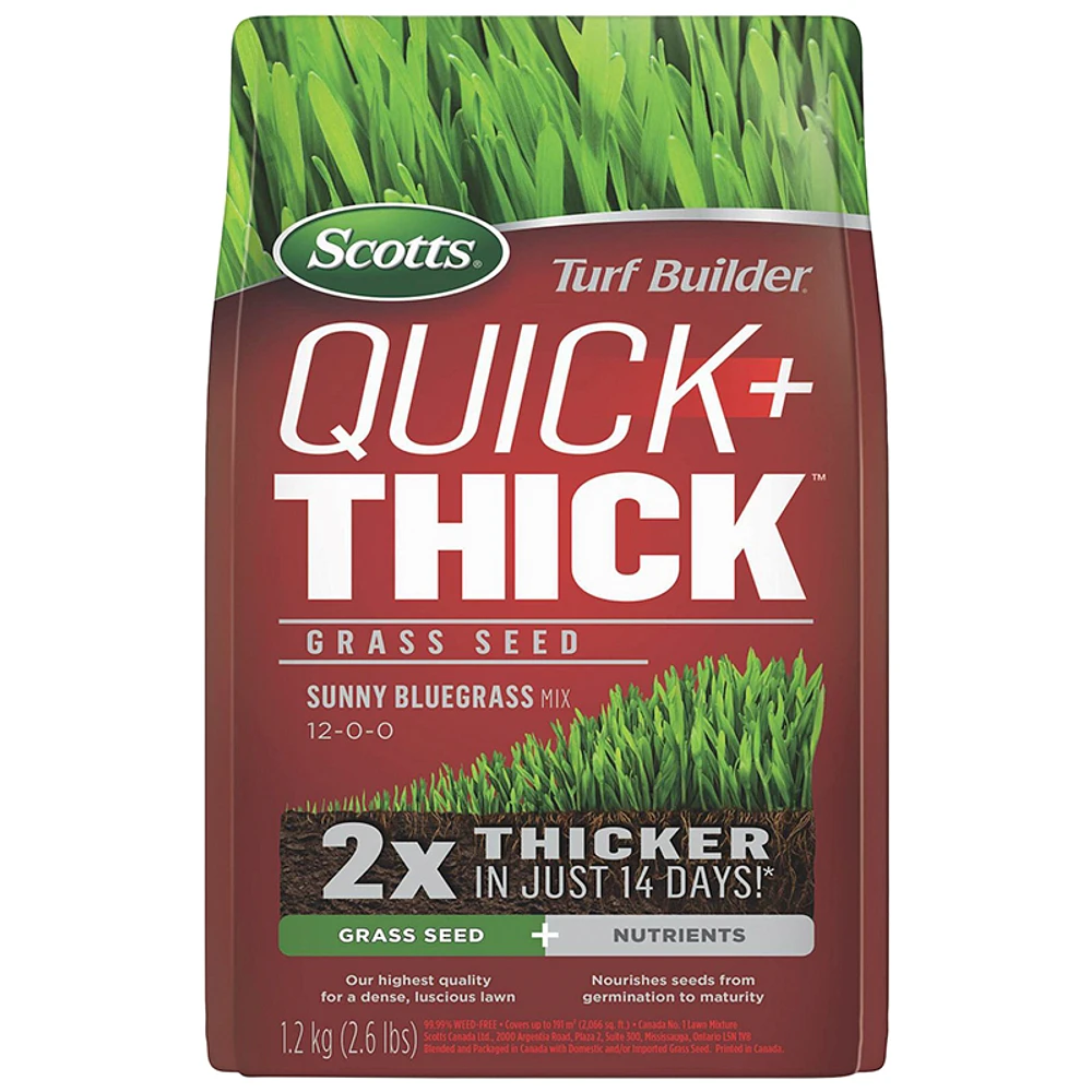 Scotts Turf Builder Quick + Thick Sunny Bluegrass Mix 12-0-0 Grass Seed and Nutrients - 1.2kg