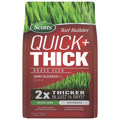 Scotts Turf Builder Quick + Thick Sunny Bluegrass Mix 12-0-0 Grass Seed and Nutrients - 1.2kg