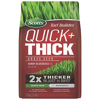 Scotts Turf Builder Quick + Thick Sunny Bluegrass Mix 12-0-0 Grass Seed and Nutrients - 1.2kg