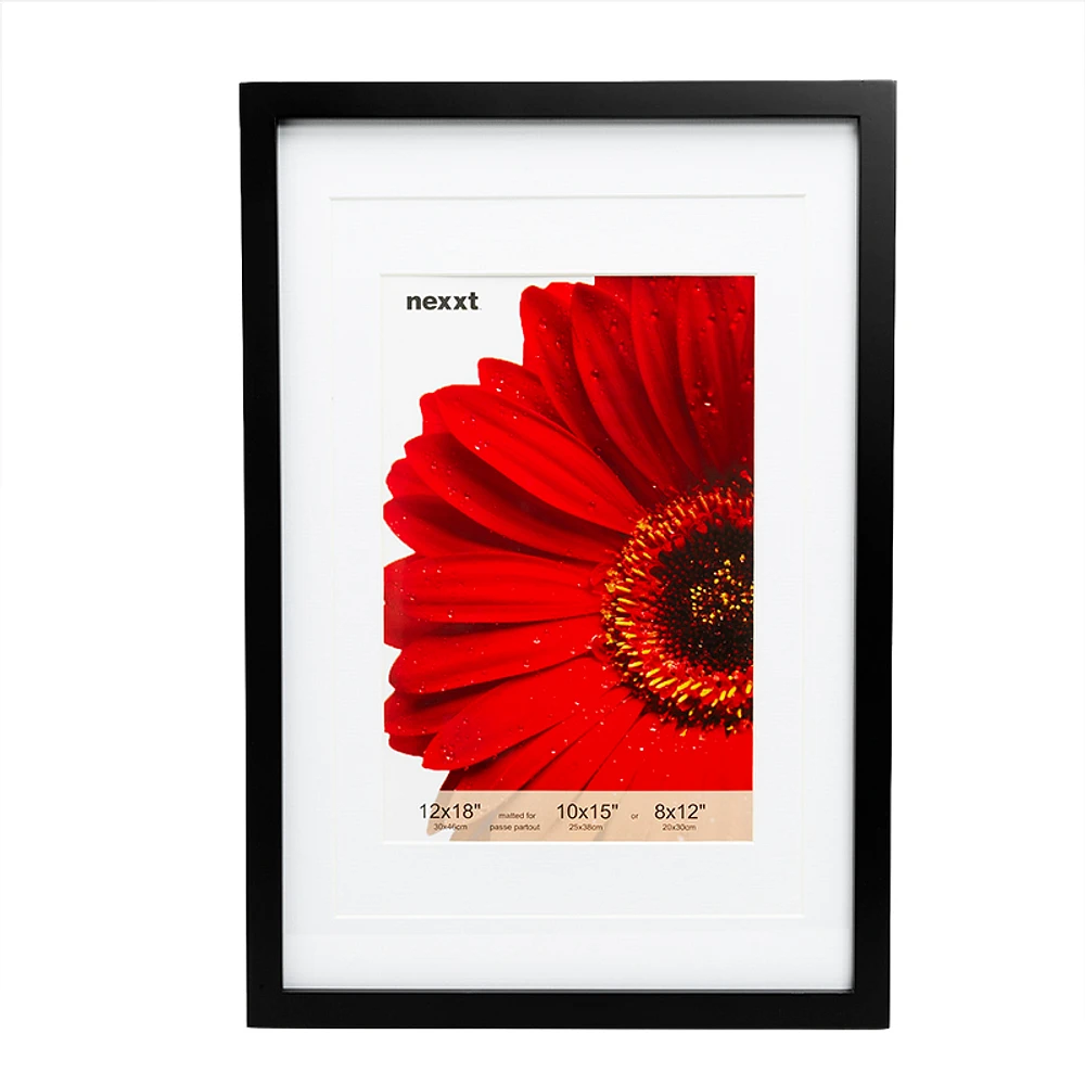 Nexxt by Linea Gallery Frame - 12x18-inch - Black