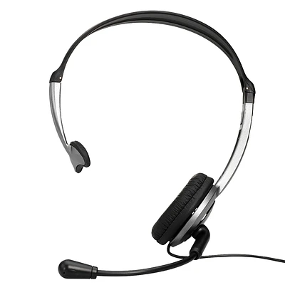 Panasonic Headset for Cordless Telephones - Silver - KXTCA430S