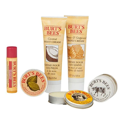 Burt's Bees Tips and Toes Kit - 5 piece