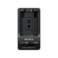 Sony W Series Battery Charger - Black - BCTRW