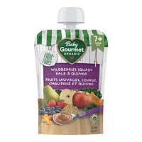 Baby Gourmet Plus Baby Food - Wildberries Rhubarb Kale & Quinoa - 128ml