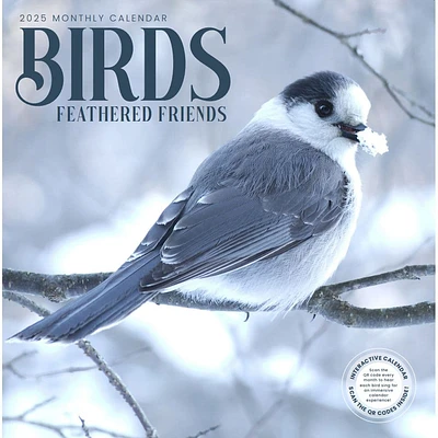 Birds Feathered Friends 2025 Wall Calendar