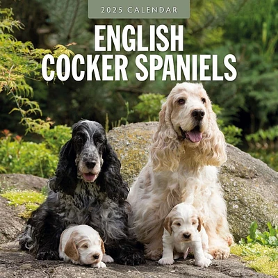 English Cocker Spaniels 2025 Wall Calendar