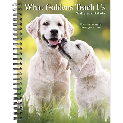 What Goldens Teach Us 2025 Engagement Planner