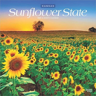 Sunflower State Kansas Places 2025 Wall Calendar