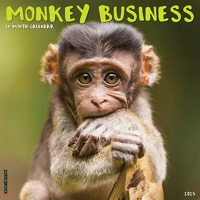 Monkey Business 2025 Wall Calendar