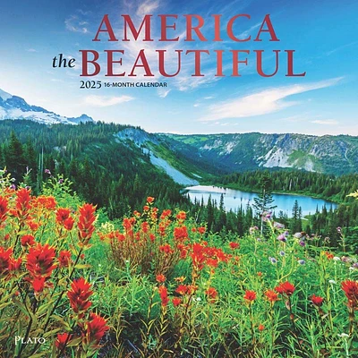 America Beautiful Square Plato Foil 2025 Wall Calendar