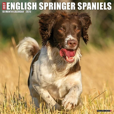 Just English Springer Spaniels 2025 Wall Calendar