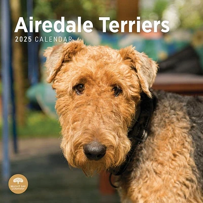 Airedale Terriers 2025 Wall Calendar