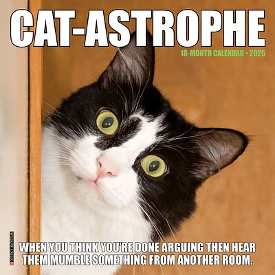 Cat Astrophe 2025 Mini Wall Calendar