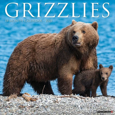 Grizzly Bears 2025 Wall Calendar