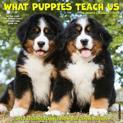 What Puppies Teach Us 2025 Wall Calendar