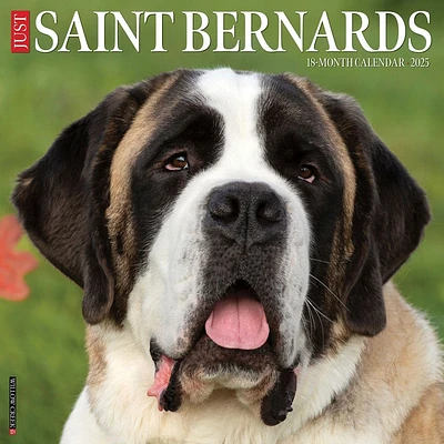 Saint Bernards 2025 Wall Calendar