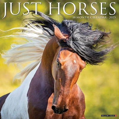 Just Horses 2025 Wall Calendar