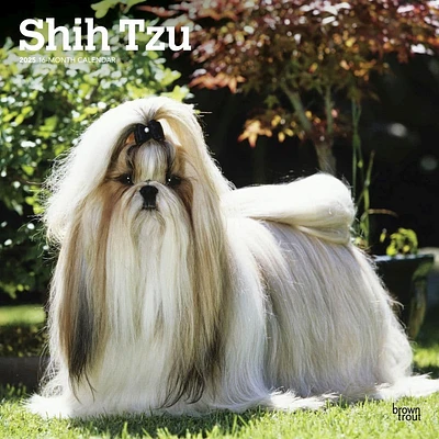 Shih Tzu 2025 Wall Calendar