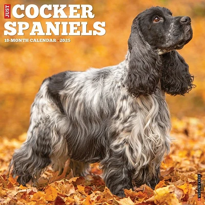 Just Cocker Spaniels 2025 Wall Calendar