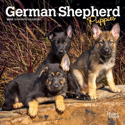 German Shepherd Puppies 2025 Mini Wall Calendar