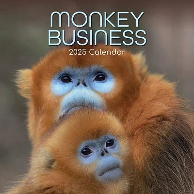 Monkey Business 2025 Wall Calendar