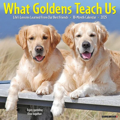 What Goldens Teach Us 2025 Wall Calendar