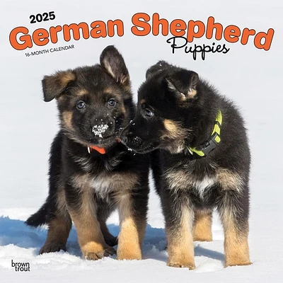 German Shepherd Puppies 2025 Wall Calendar