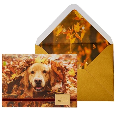 Photo Dog In Leaves Fall Card