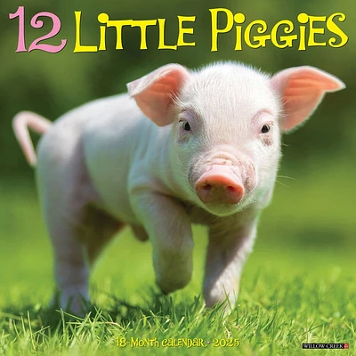 12 Little Piggies 2025 Wall Calendar