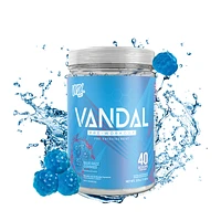 VNDL Project Pre-Workout