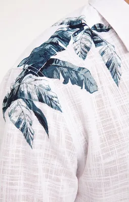 Chemise regular à motif imprimé