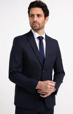 Veste de costume BOREALE