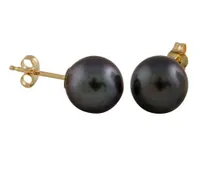 Freshwater 7-7.5mm Peacock Pearl Studs