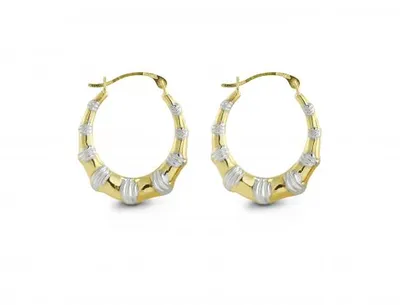 Two-Tone Gold Hoop Earrings