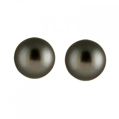 Tahitian Pearl Stud Earrings