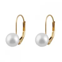 Yellow Gold Leverback Earrings