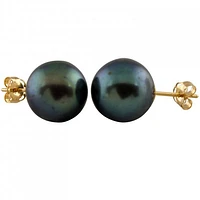 Large Freshwater Pearl Stud Earrings