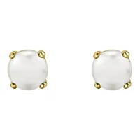 10K Gold Pearl Stud Earrings