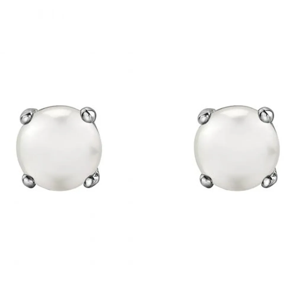 10K White Gold Pearl Stud Earrings